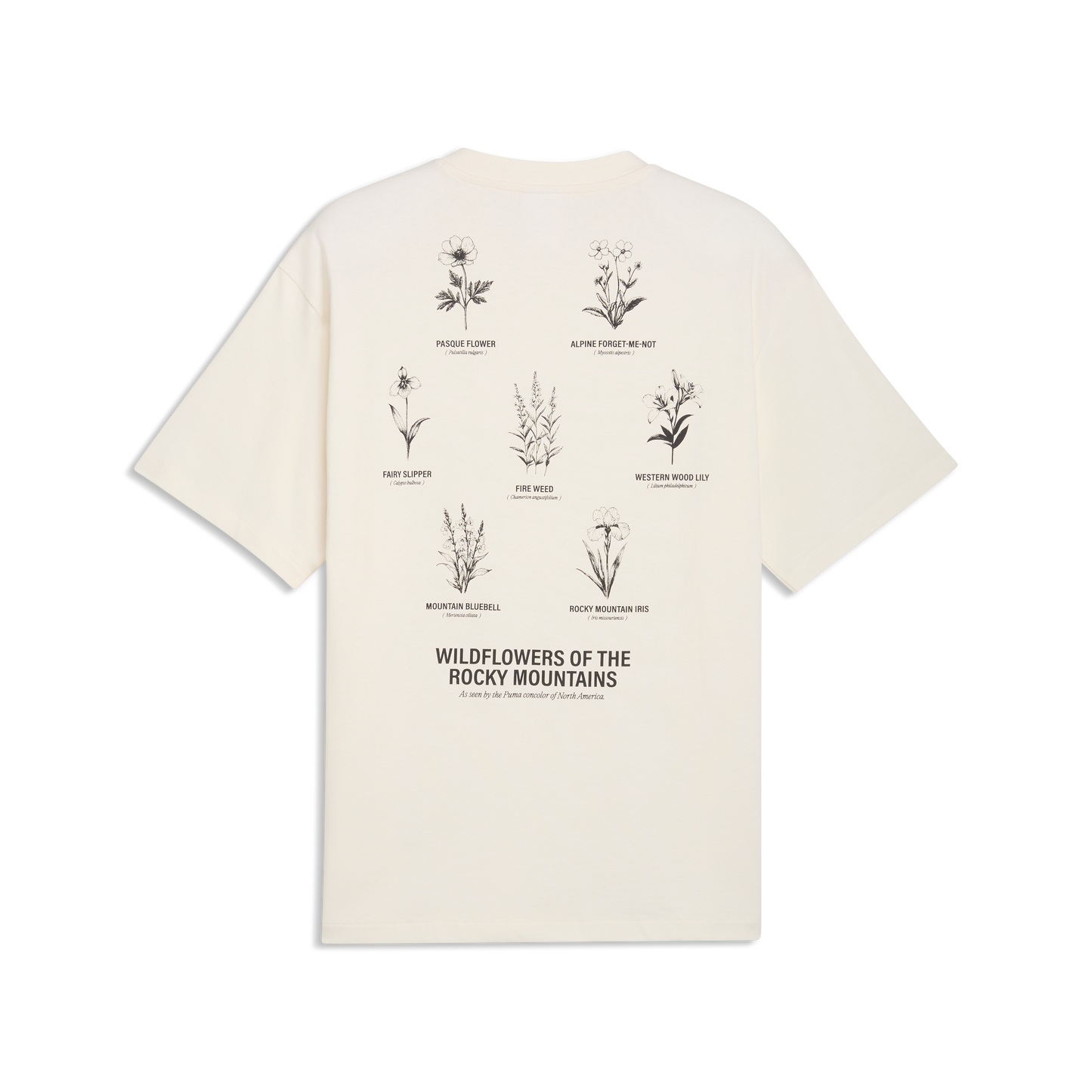 GGNC - PUMA X GGNC WILDFLOWER TEE