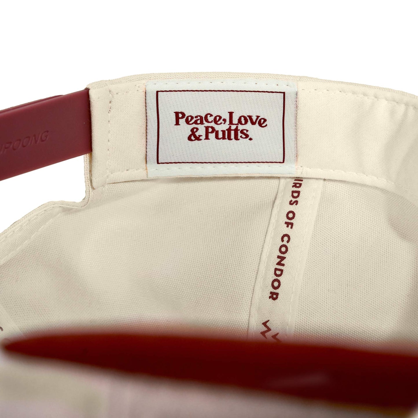 BIRDS - SOUTH EAST SWING CO. SNAP BACK