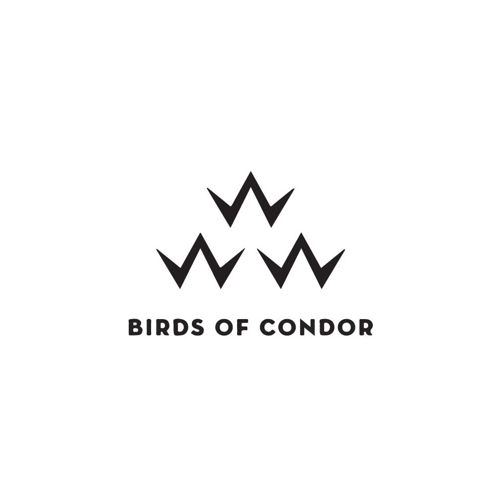 BIRDS OF CONDOR