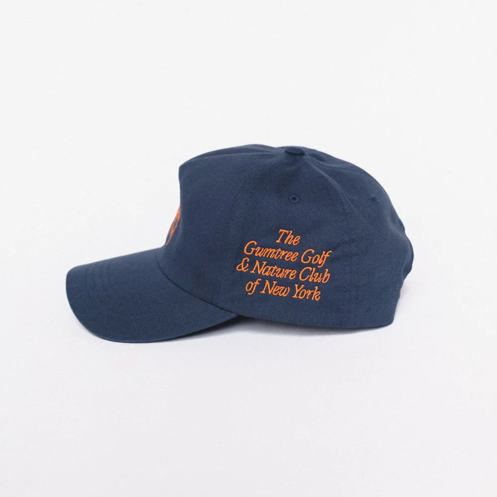 GGNC - NY BRANCHES UNSTRUCTURED 5 PANEL