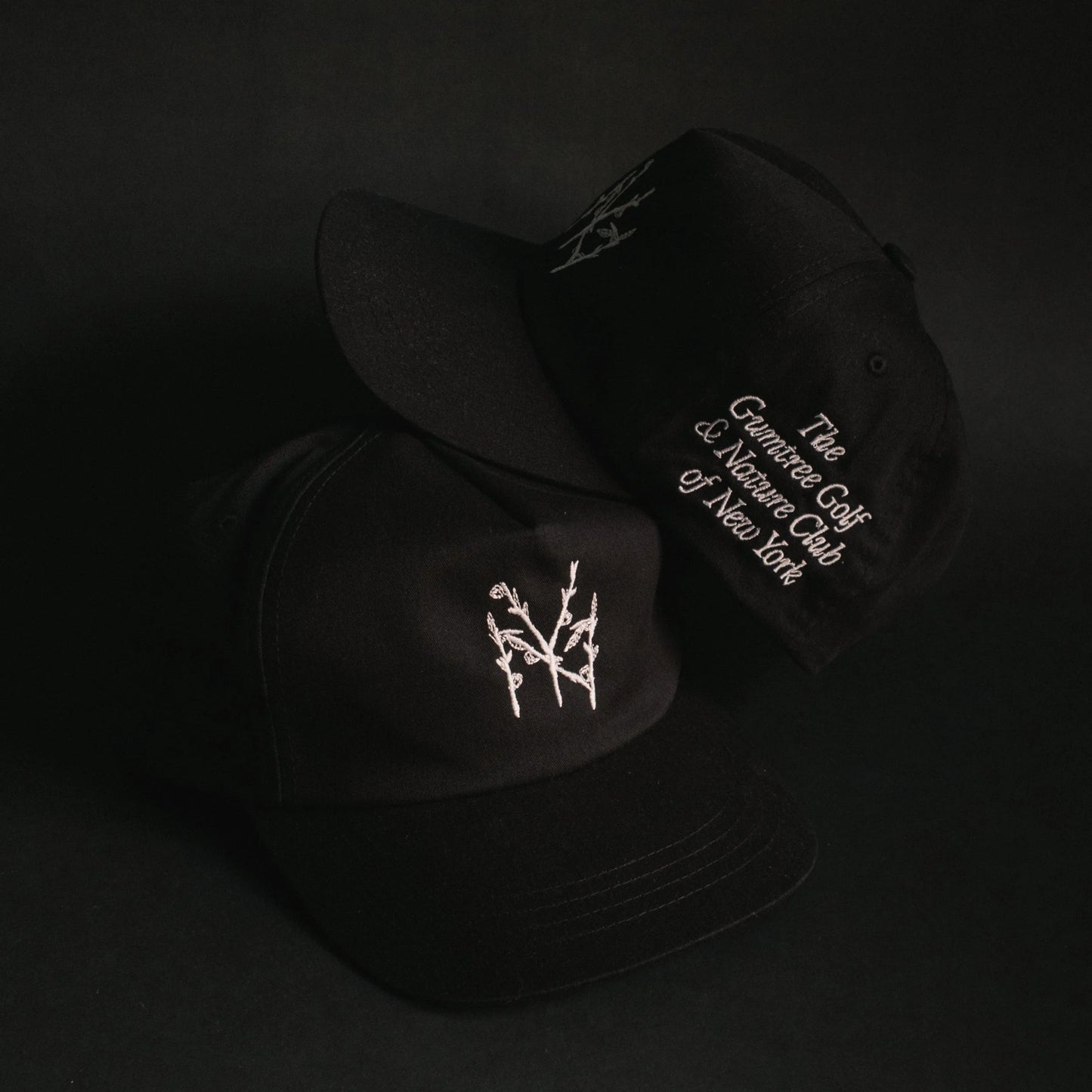 GGNC - NY BRANCHES UNSTRUCTURED 5 PANEL