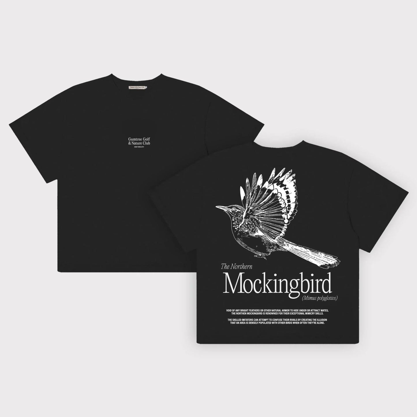 GGNC - TO FIGHT A MOCKINGBIRD TEE